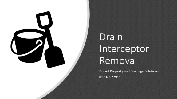 Drain Interceptor Removal and Repair